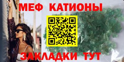 прущие грибы Дубна