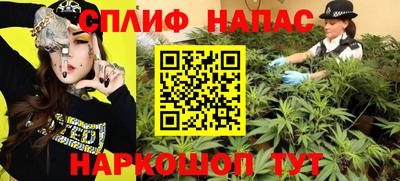 прущие грибы Дубна