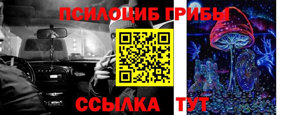 Галлюциногенные грибы прущие грибы  как найти закладки  Назарово  Псилоцибиновые грибы мухоморы  Вход с VPN 